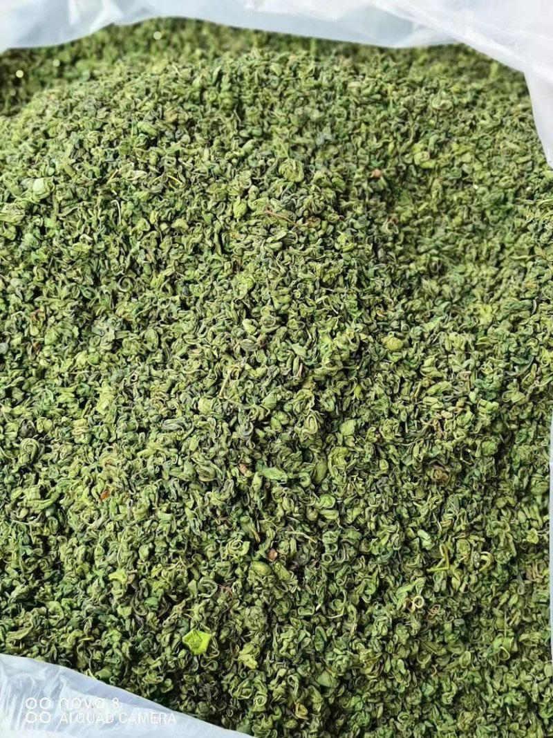 广西大瑶山刺甜茶