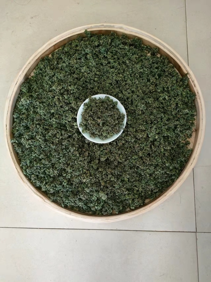 广西金秀大瑶山野生苦绞股蓝