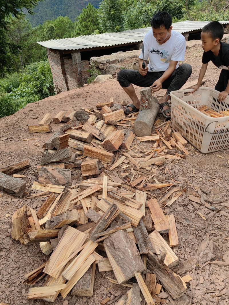 云南松明子，制手串工艺品琥珀木松丁老料全透松明子琥珀
