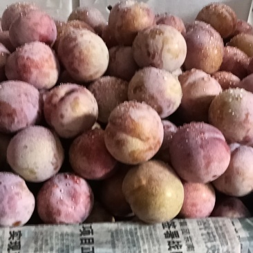 酸酸甜甜，很脆