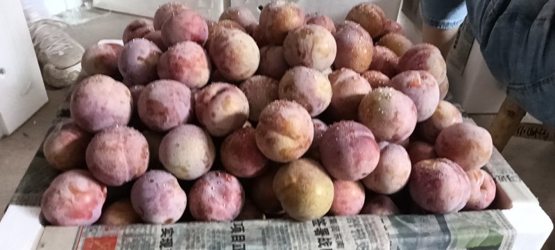酸酸甜甜，很脆
