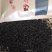 高山红茶金秀大瑶山高山云雾红茶。口感好