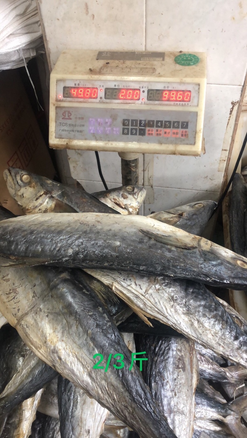 主营：咸鱼批发，马鲛鱼、马友鱼、红鱼、敏鱼。