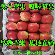 早熟苹果【红露美八】新鲜采摘口感脆甜质量保证