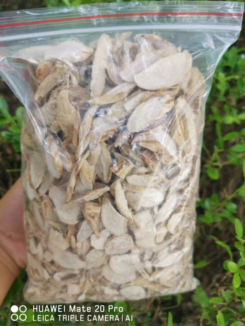 小叶野生牛大力干货，大瑶山原始生态高山野生牛大力长期共货