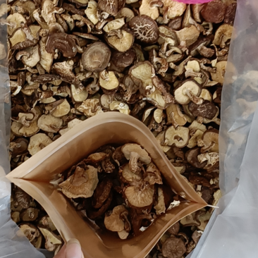 广西大瑶山野生香菇每一包25Og