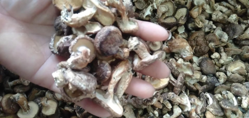 广西大瑶山野生香菇每一包25Og