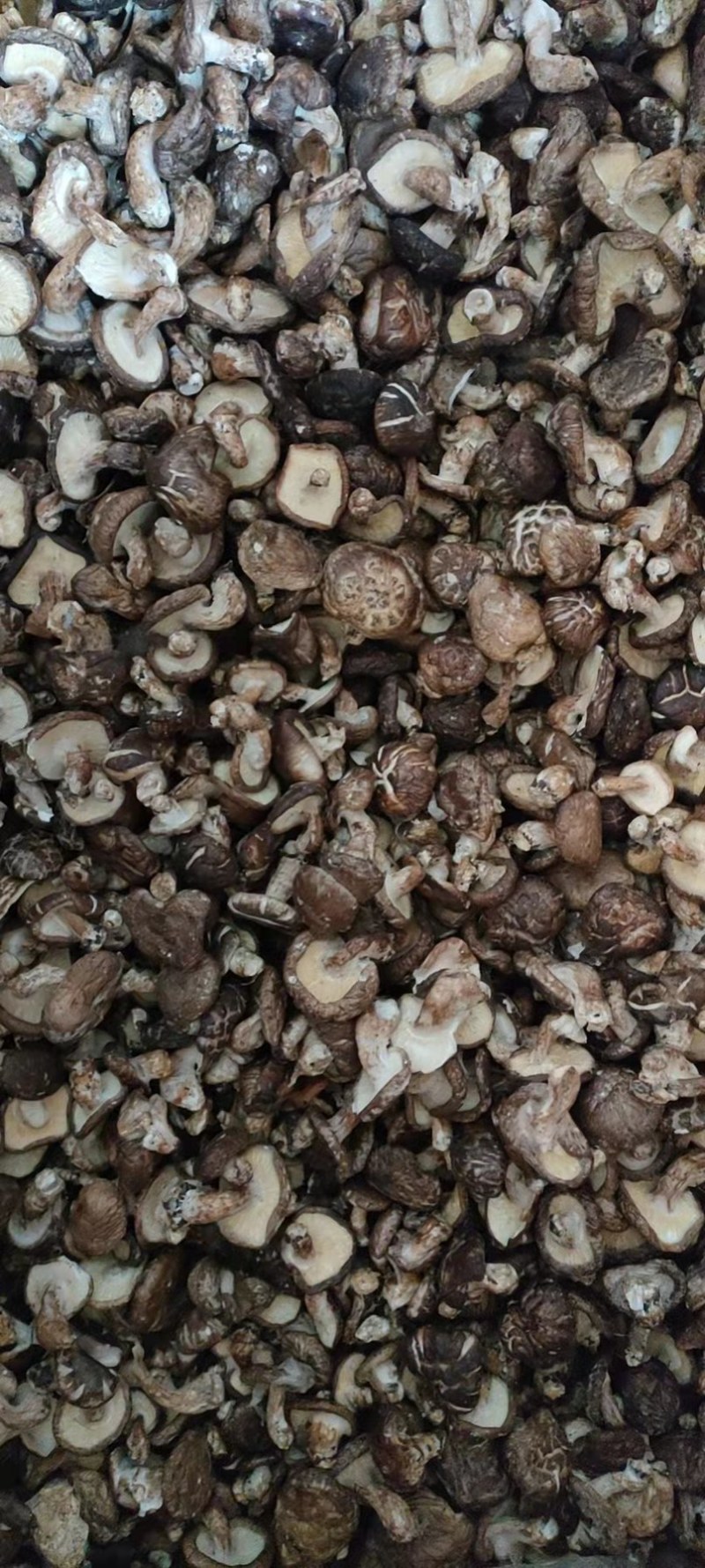 广西大瑶山野生香菇每一包25Og