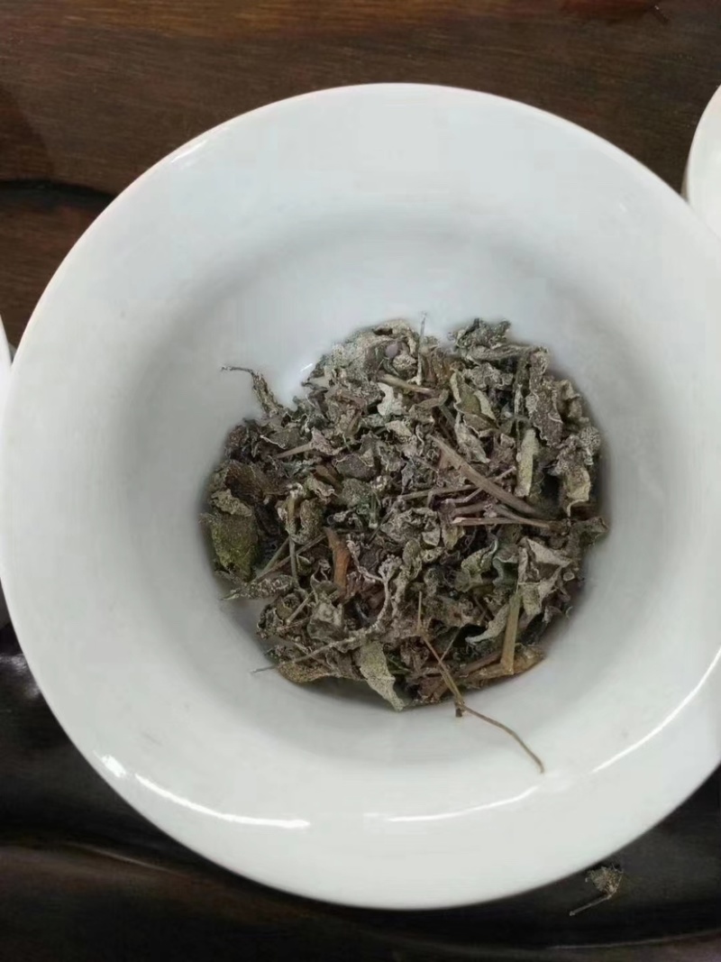 广西大瑶山野生银藤茶