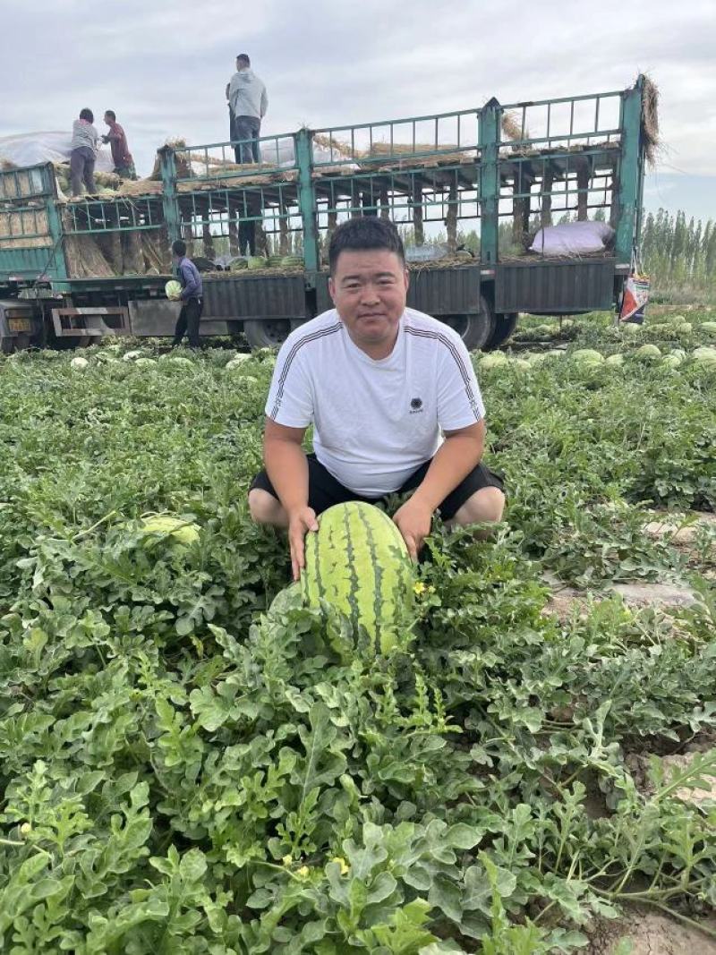 赤峰沙地双红金城武果型正，皮毛靓，瓤子红口感嘎嘎甜