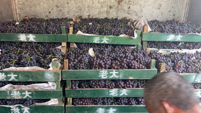 糖度够了欢迎骚扰.量大优先