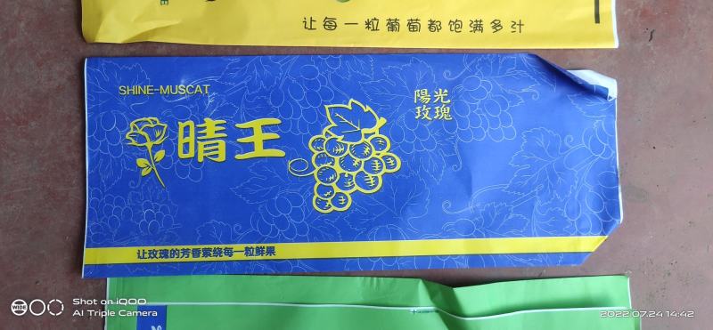 湖南省常德澧县阳光玫瑰电商果口感甜（3级果）