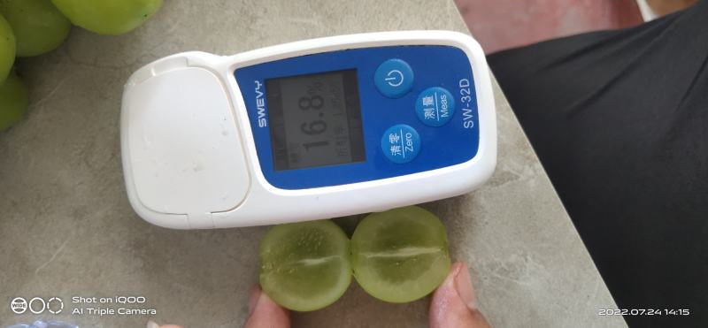 湖南省常德澧县阳光玫瑰电商果口感甜（3级果）