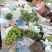 湖南省常德澧县阳光玫瑰电商果口感甜（3级果）
