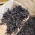 武夷水仙茶老枞水仙茶叶炭焙香浓香型老茶武夷茗枞茶叶醇香茶