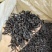 武夷水仙茶老枞水仙茶叶炭焙香浓香型老茶武夷茗枞茶叶醇香茶