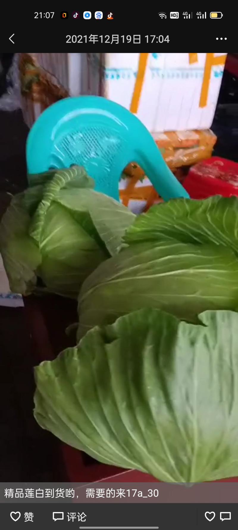 贵州高山脆莲白