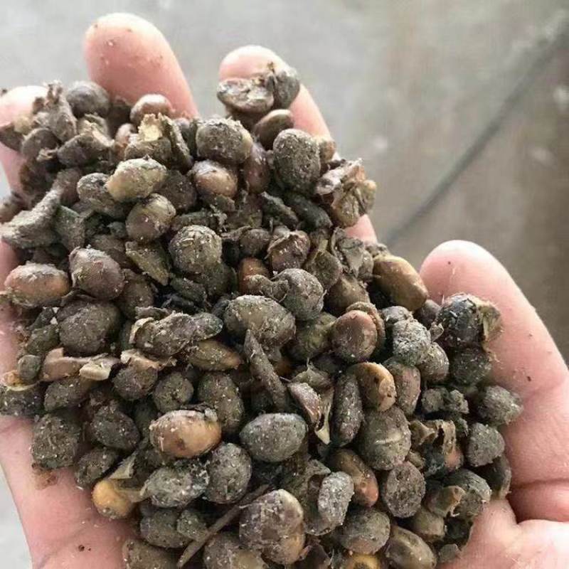 厂家供应发酵大豆底肥有机肥益生菌腐熟大豆土壤改良