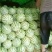 硒砂瓜（金花）石头瓜，瓤红个大耐运输，对接电商市场批发商
