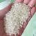 东北珍珠米小町米厂家直销一手货源精度加工