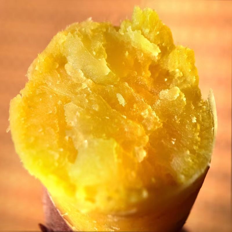 热卖精品龙九红薯现货现发万亩产地大量供应规格齐全量大优惠