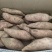热卖精品龙九红薯现货现发万亩产地大量供应规格齐全量大优惠