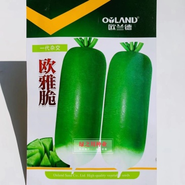 绿皮绿肉水果萝卜种子欧兰德欧雅脆青萝卜种籽脆甜多汁