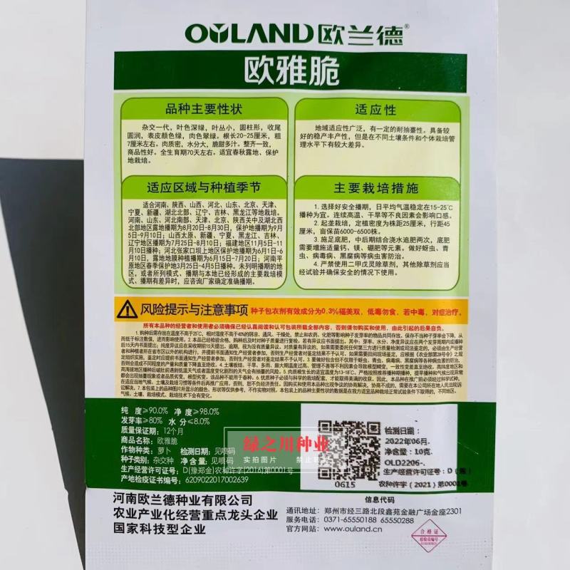 绿皮绿肉水果萝卜种子欧兰德欧雅脆青萝卜种籽脆甜多汁