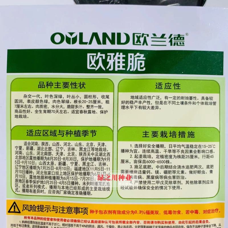 绿皮绿肉水果萝卜种子欧兰德欧雅脆青萝卜种籽脆甜多汁