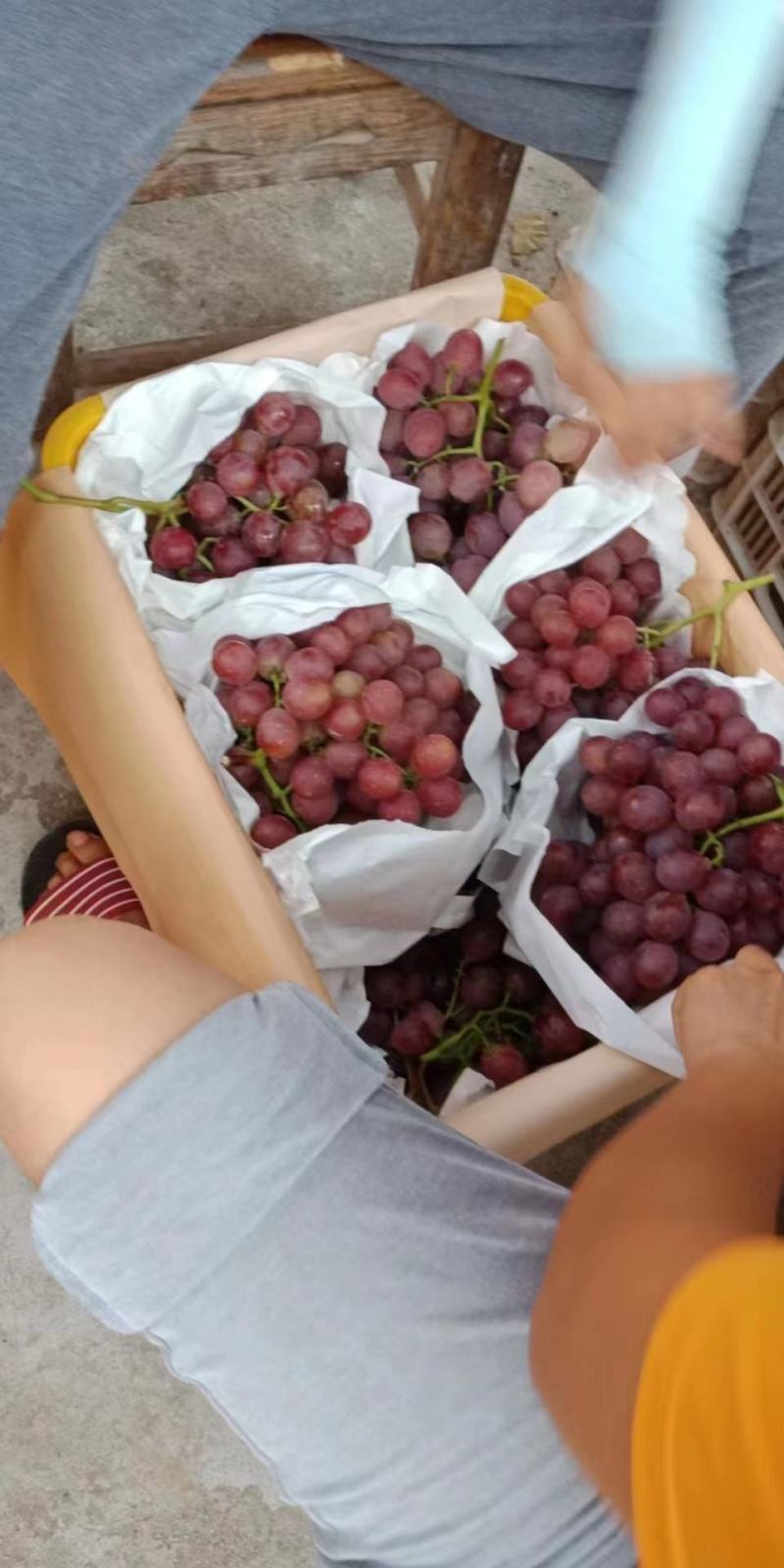 【推荐】湖南精品红提葡萄实力代办鲜货供应全国超市批发市场