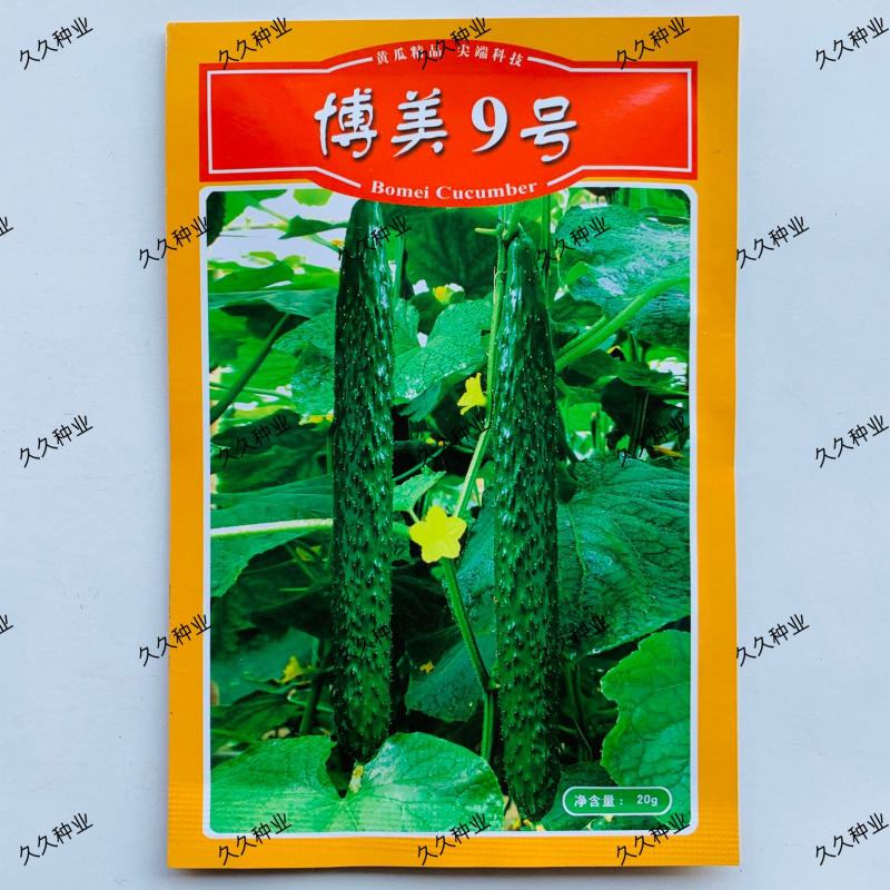 博美9号黄瓜种子强雌油亮水果黄瓜籽四季春季种籽秋高温蔬菜