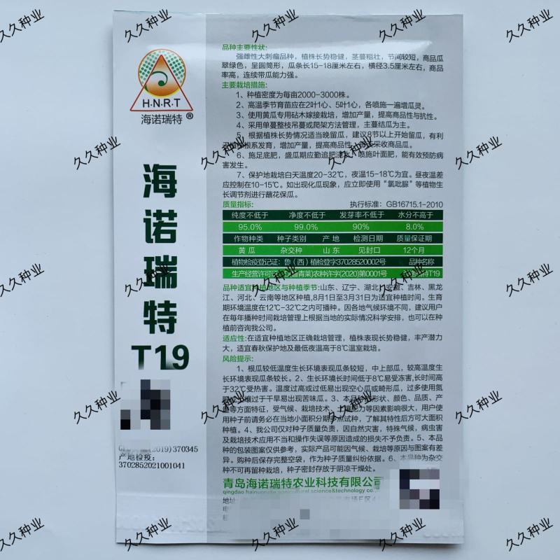 海诺瑞特T19强雌黄瓜种子大刺瘤翠绿色黄瓜种籽高产
