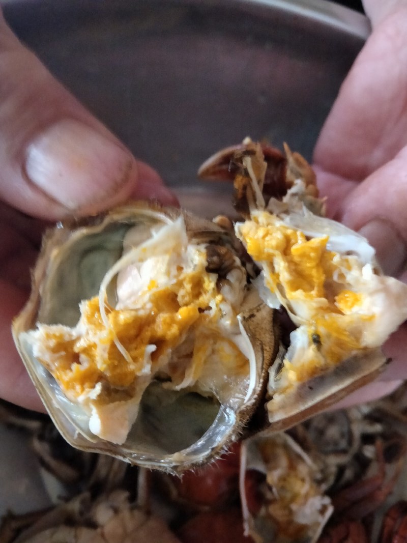 河蟹六月黄，保肥，保证质量，直供团购，辣炒，酒店，自助餐