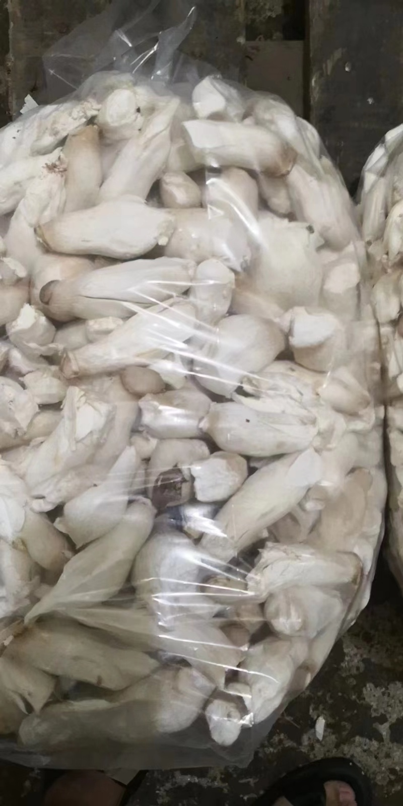 杏鲍菇片，通货。工厂专用货。