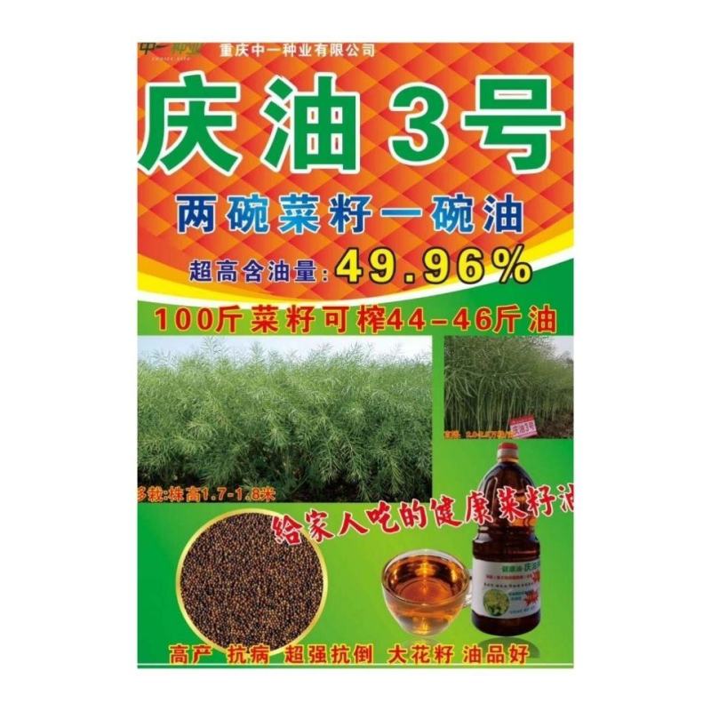 庆油3号油菜种子，100克