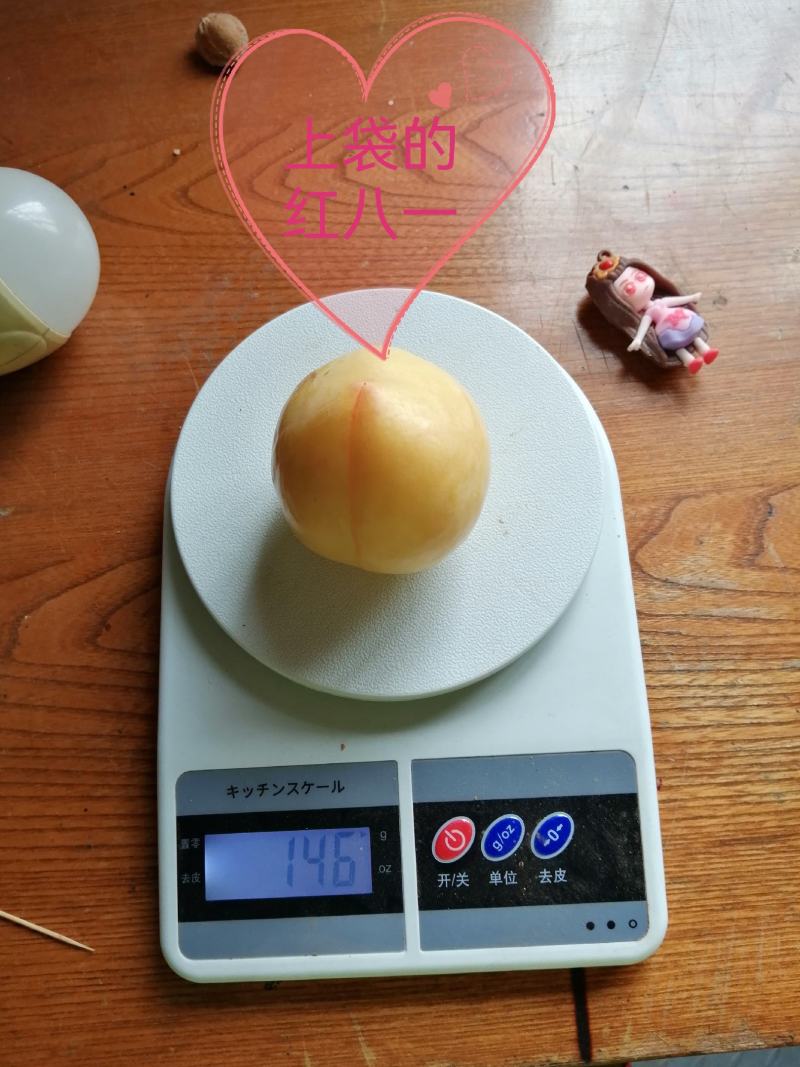 红八一李子上袋不上袋均有