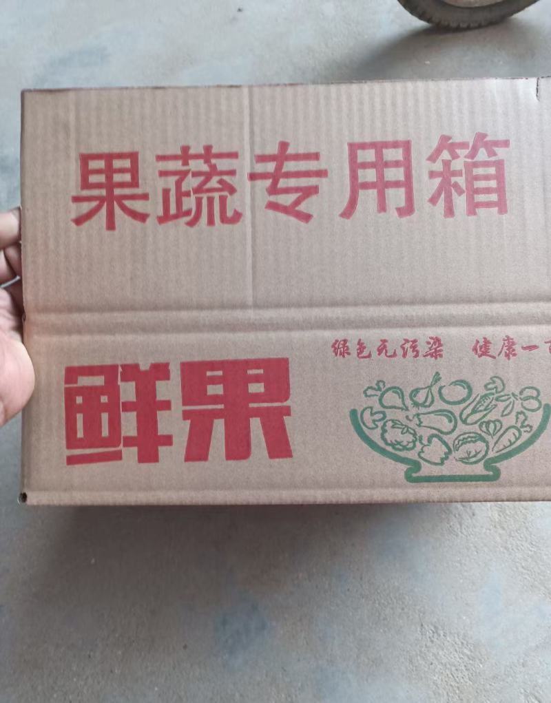山东阳信媚梨七号果皮薄核小甘甜无渣