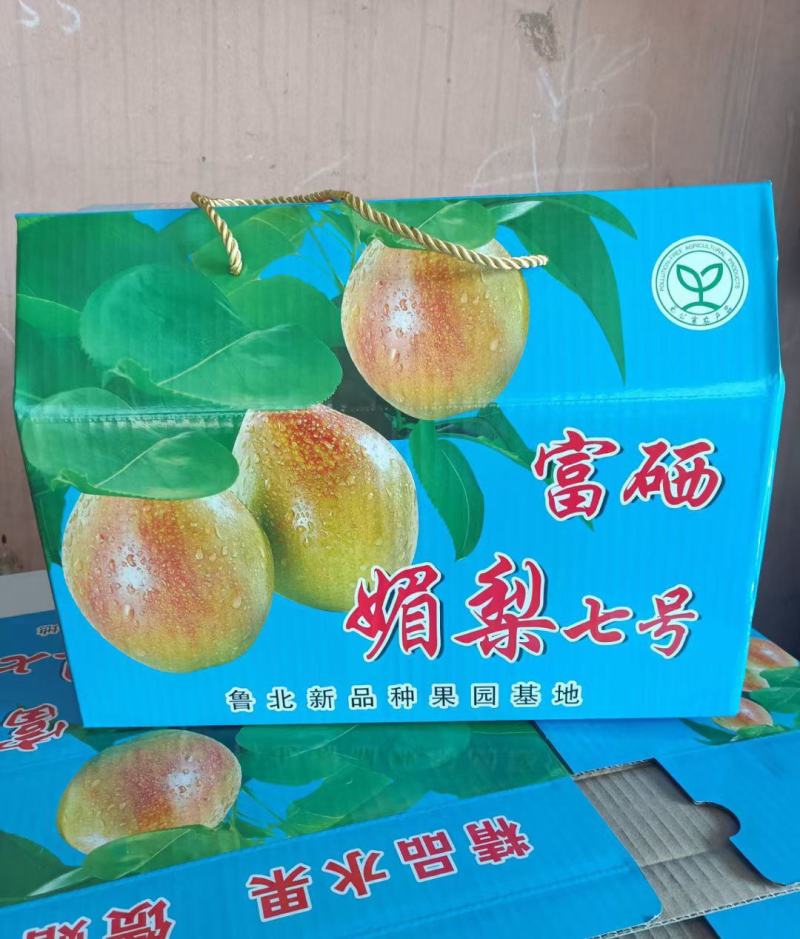 山东阳信媚梨七号果皮薄核小甘甜无渣