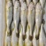 黄花鱼3-4两2-3两