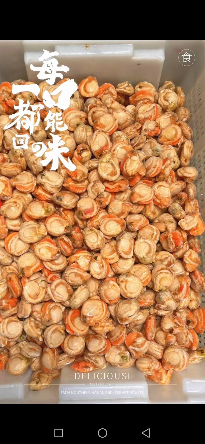 扇贝各种规格的扇贝肉