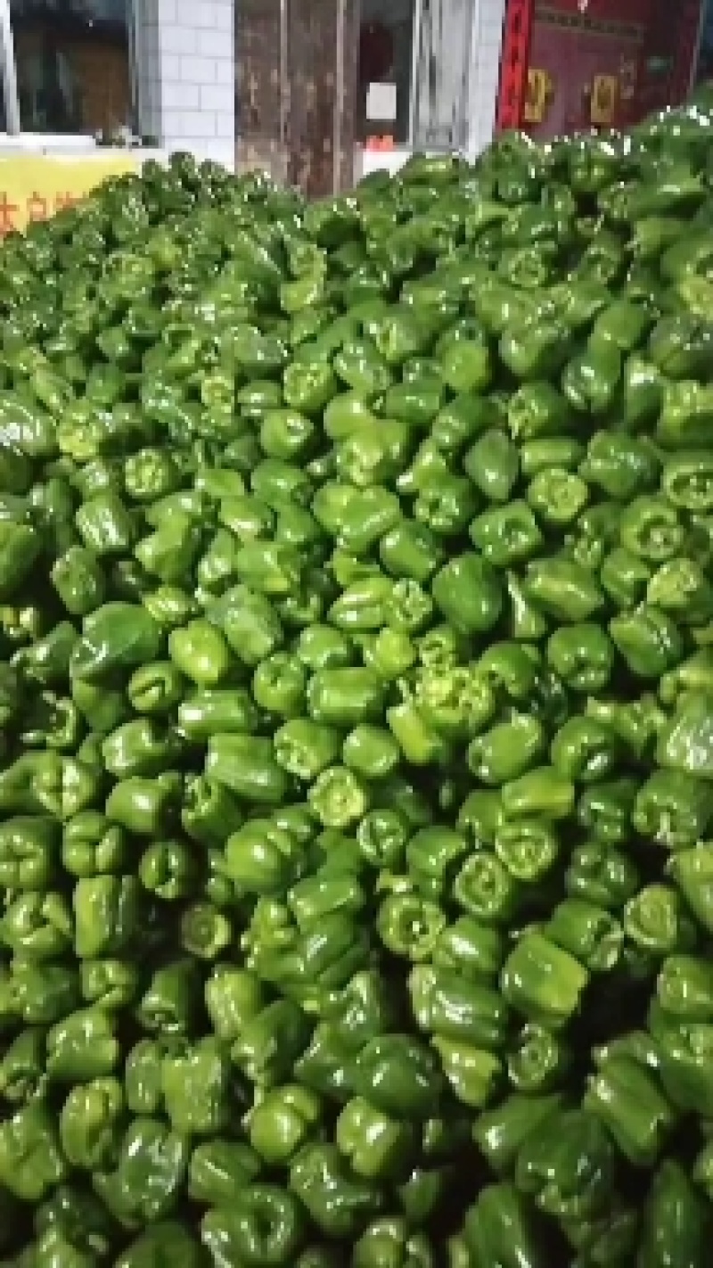 圆椒