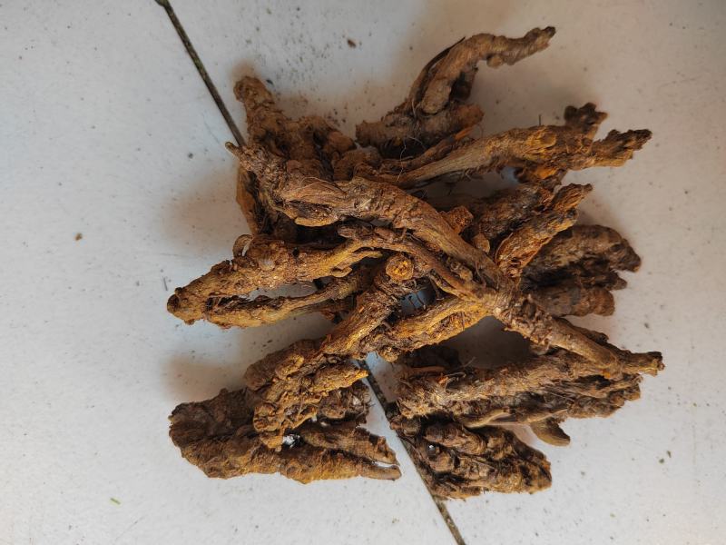 黄连，选黄连，鸡爪黄连，一手货源大货批发。