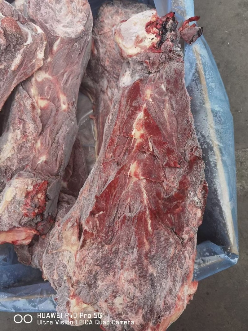 满肉牛脖骨可按客户要求切好。质量保证肉多多