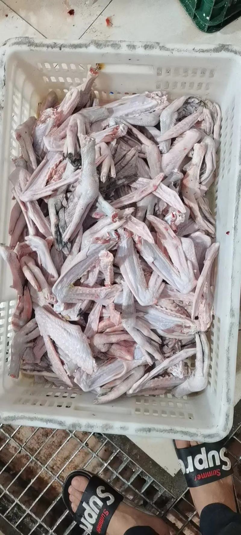 清远黑棕鹅大量批发现杀可帮急冻冷链发出全国