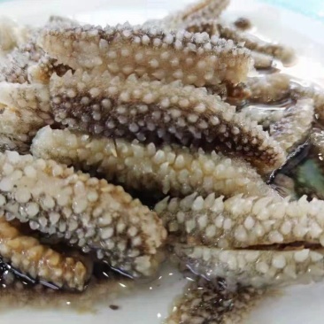即食黄玉参