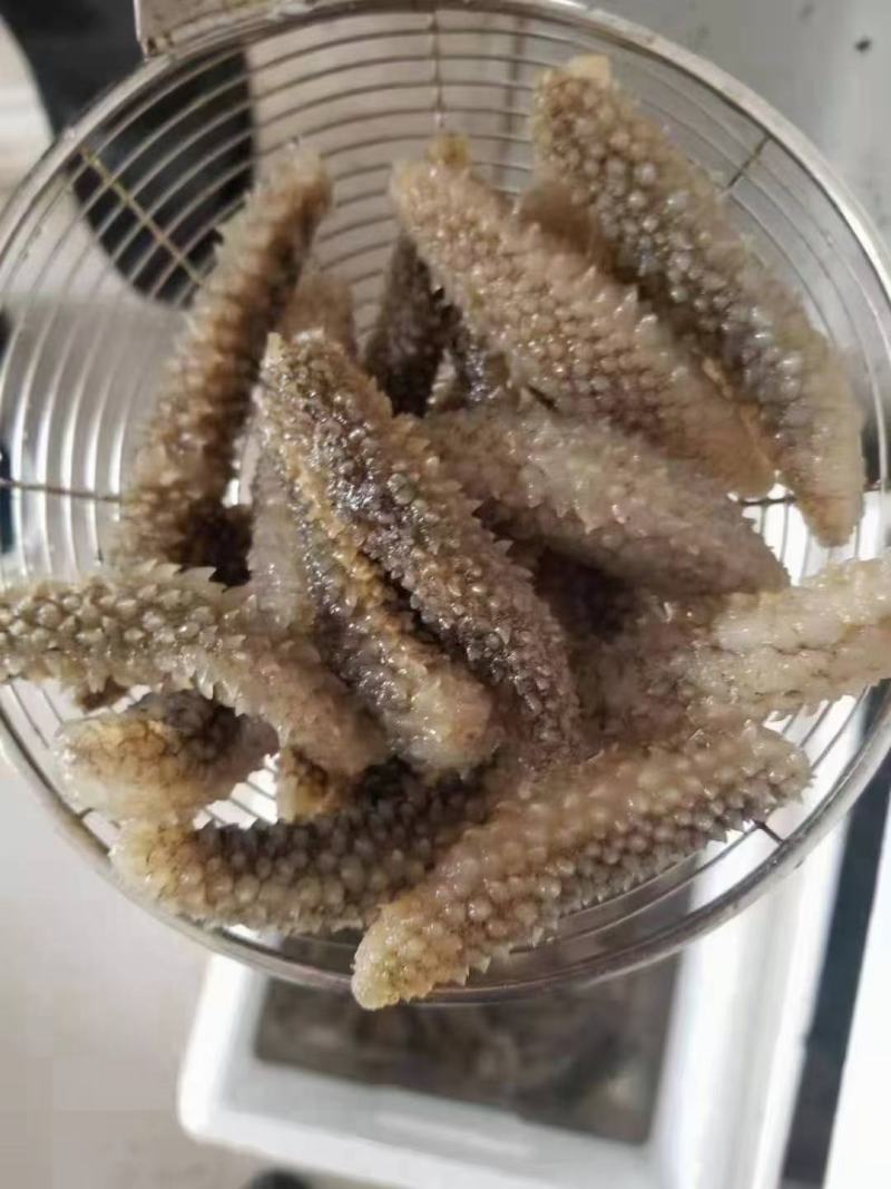 即食黄玉参