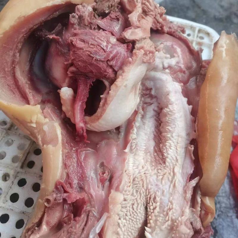 清真牛头肉，河南产地一手货源，质量保证，量大可议价