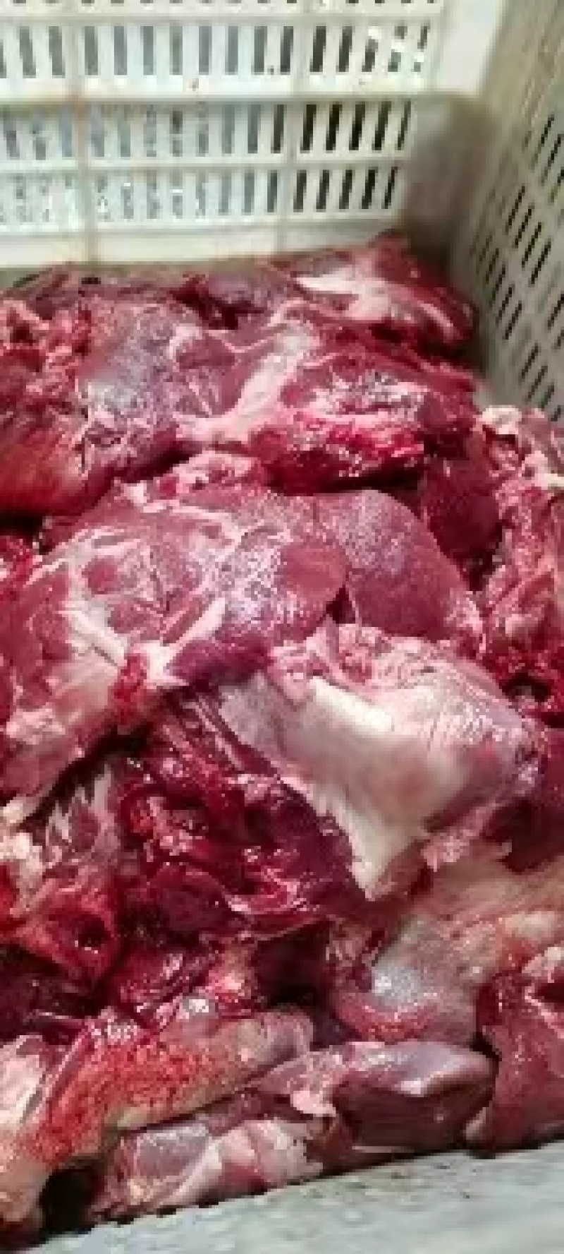 (清真)生牛肉牛肉牛腩肉牛腿肉大量供应欢迎联系