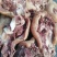 清真牛副产品牛嘴巴牛头肉牛嘴肉五香可卤制作