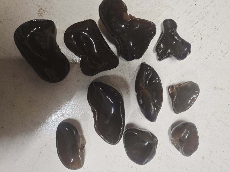 精品东北黑木耳秋木耳产地直供一手货源欢迎选购